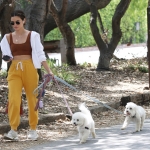 dogsla030522-007.jpg