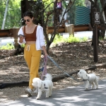 dogsla030522-011.jpg