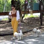 dogsla030522-012.jpg