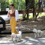 dogsla030522-013.jpg
