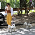 dogsla030522-014.jpg