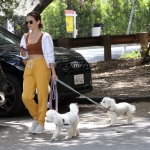 dogsla030522-016.jpg