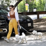 dogsla030522-017.jpg