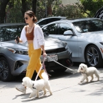 Filename=dogsla030522-023.jpg
Filesize=2016KiB
Dimensions=3990x3456
Date added=May 03, 2022 dogsla030522-023.jpg