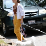 dogsla030522-024.jpg