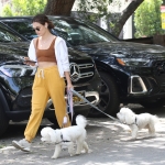 dogsla030522-099.jpg