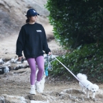 dogsla121122001.JPG