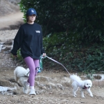 dogsla121122002.JPG