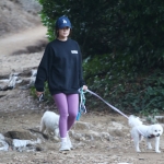 dogsla121122003.JPG
