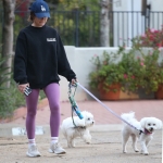 dogsla121122005.JPG