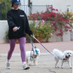 dogsla121122006.JPG