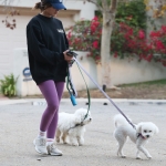 dogsla121122007.JPG
