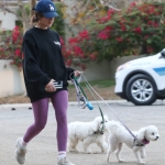 dogsla121122008.JPG