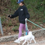 dogsla121122009.JPG