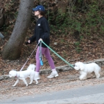 dogsla121122010.JPG