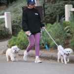dogsla121122012.JPG