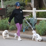 dogsla121122013.JPG