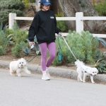 dogsla121122014.JPG