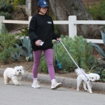 dogsla121122015.JPG