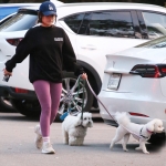 dogsla121122017.JPG