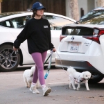 dogsla121122018.JPG