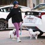 dogsla121122019.JPG