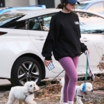 dogsla121122020.JPG