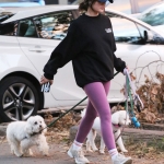 dogsla121122021.JPG