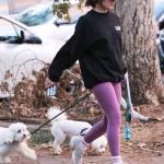 dogsla121122022.JPG