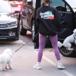 dogsla121122023.JPG