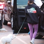 dogsla121122024.JPG