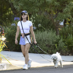 dogsla1570724-001.jpg