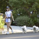 dogsla1570724-003.jpg