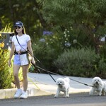 dogsla1570724-004.jpg
