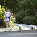 dogsla1570724-005.jpg