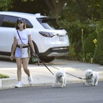 dogsla1570724-006.jpg