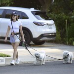 dogsla1570724-007.jpg
