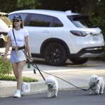 dogsla1570724-009.jpg