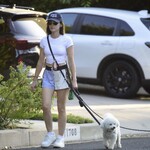 dogsla1570724-010.jpg