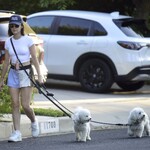 dogsla1570724-012.jpg