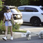 dogsla1570724-014.jpg