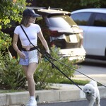 dogsla1570724-015.jpg