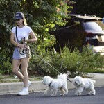 dogsla1570724-016.jpg