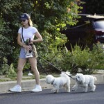 dogsla1570724-017.jpg