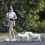 dogsla1570724-018.jpg