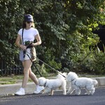 dogsla1570724-019.jpg