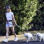 dogsla1570724-021.jpg