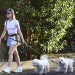 dogsla1570724-022.jpg