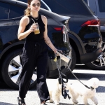 dogsla230423-009.jpg