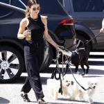 dogsla230423-013.jpg